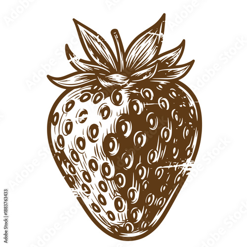 Drawing Vintage grunge  texture Brown strawberry illustration with leaves on top isolated on white background