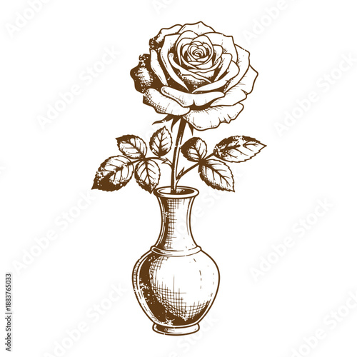 Drawing Vintage grunge  texture sepia drawing of a rose in a vase  brown illustration of a flower in a vase