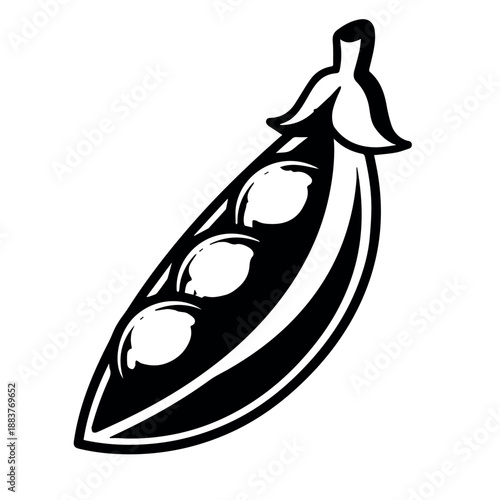 vector A detailed black and white line art illustration features an open pea pod, clearly displaying three perfectly rounded peas nestled within its shell.
