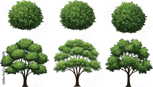 Stylized digital illustrations of diverse tree shapes and canopies showcasing foliage density, ideal for landscape design, nature education, and environmental graphic projects.
