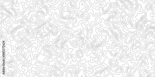 Intricate Abstract Topography Map Pattern