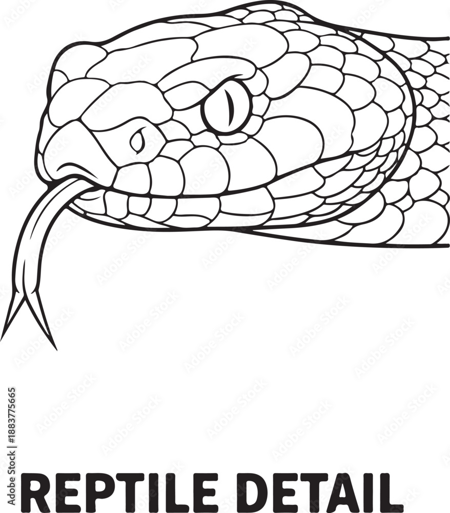 Naklejka premium Snake Head Line Art Illustration with Forked Tongue, Detailed Reptile Outline Drawing of a Serpent or Viper, Monochrome Vector Graphic