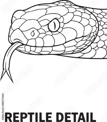 Snake Head Line Art Illustration with Forked Tongue, Detailed Reptile Outline Drawing of a Serpent or Viper, Monochrome Vector Graphic