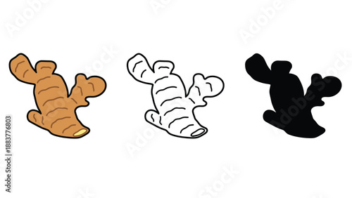 A colorful illustration of ginger root in different shades and styles