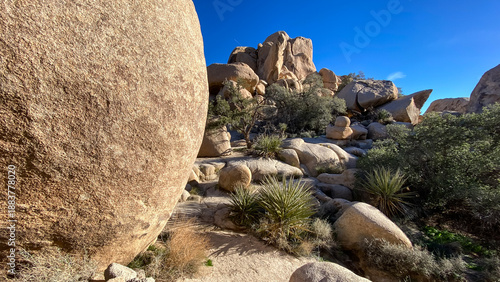 Foto Rock formations in Joshua Tree National Park in California