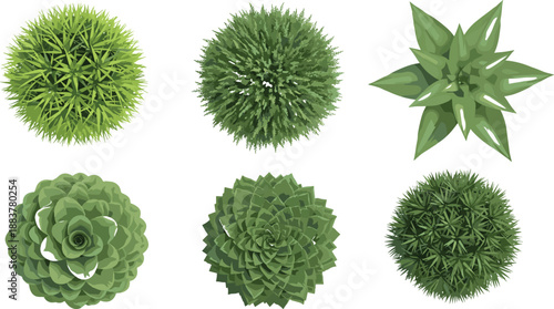 Top view green plants and bushes set illustration featuring realistic foliage, garden shrubs, ornamental greenery elements for landscaping, nature design, eco projects, and botanical vector artwork