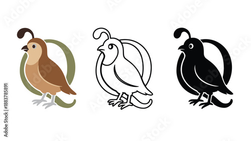 A colorful quail logo design with three different color variations and styles.