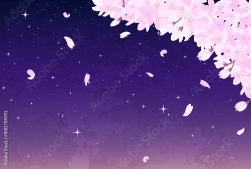 夜桜と星空のイラスト_横2