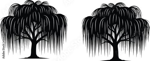 Two Weeping Willow Tree Silhouettes with Drooping Branches Isolated on White Background for Minimalist Landscape Design Nature Vector Illustration and Digital Art Projects