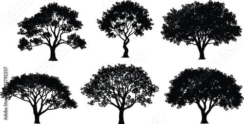Various full leaf canopy tree silhouettes vector illustration set, detailed shapes of different large deciduous forest plants and wood elements, natural 