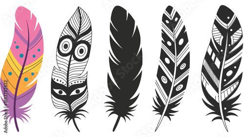 A collection of colorful and black and white feather illustrations with unique designs