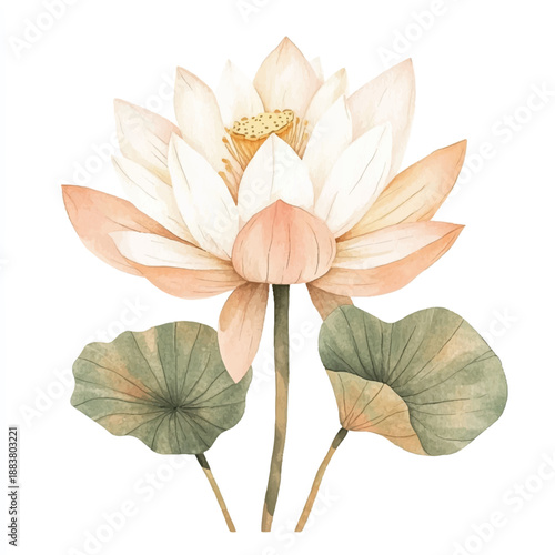 Watercolor Lotus Flower with Green Leaves.