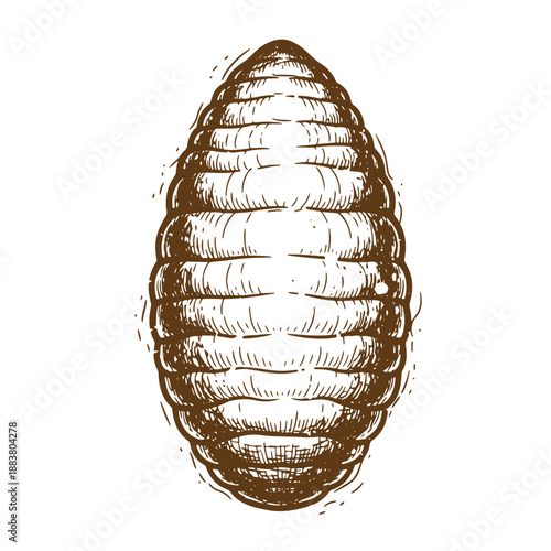 Drawing Vintage grunge  texture Brown bee honeycomb cell structure illustration  a detailed drawing of a honeycomb cell