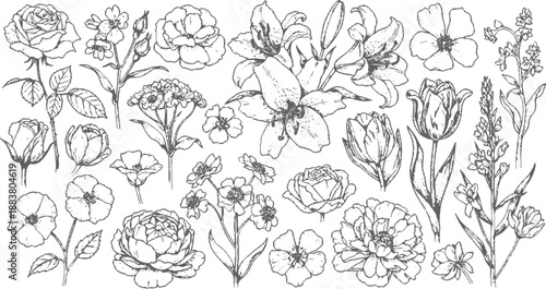 Seamless floral pattern vector illustration featuring blooming spring tulips and garden leaves for elegant wedding wallpaper decoration and nature-inspired design art