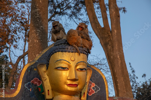 Sticker Swayambhunath Stupa in Kathmandu, Nepal