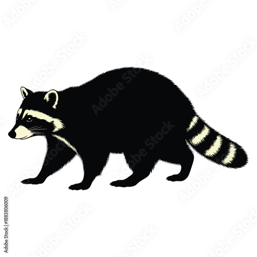 Black bear cub in the forest vector illustration