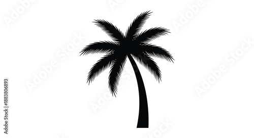 a striking black palm tree silhouette against a stark white background conveying tropical beauty and peaceful isolation