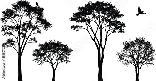 Black silhouette of four trees with detailed foliage and a bird in flight white nature