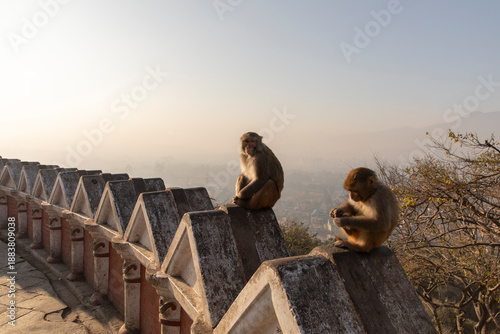 Canvas Print Swayambhunath Stupa in Kathmandu, Nepal