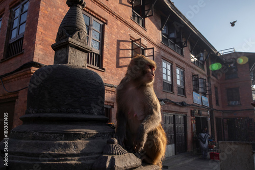 Photography Swayambhunath Stupa in Kathmandu, Nepal