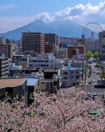 Photos Kagoshima, Japan - April 1 2022: Elevated view looking over a blooming cherry bl