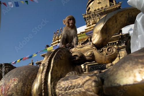 Photography Swayambhunath Stupa in Kathmandu, Nepal