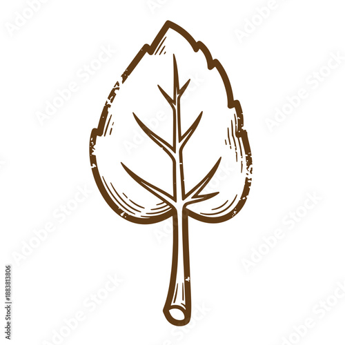 Drawing Vintage grunge  texture A brown illustration of a leaf with a stem on a white background