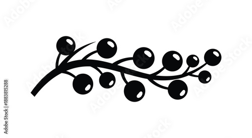 a detailed black branch with numerous small berries showcasing a striking and elegant silhouette