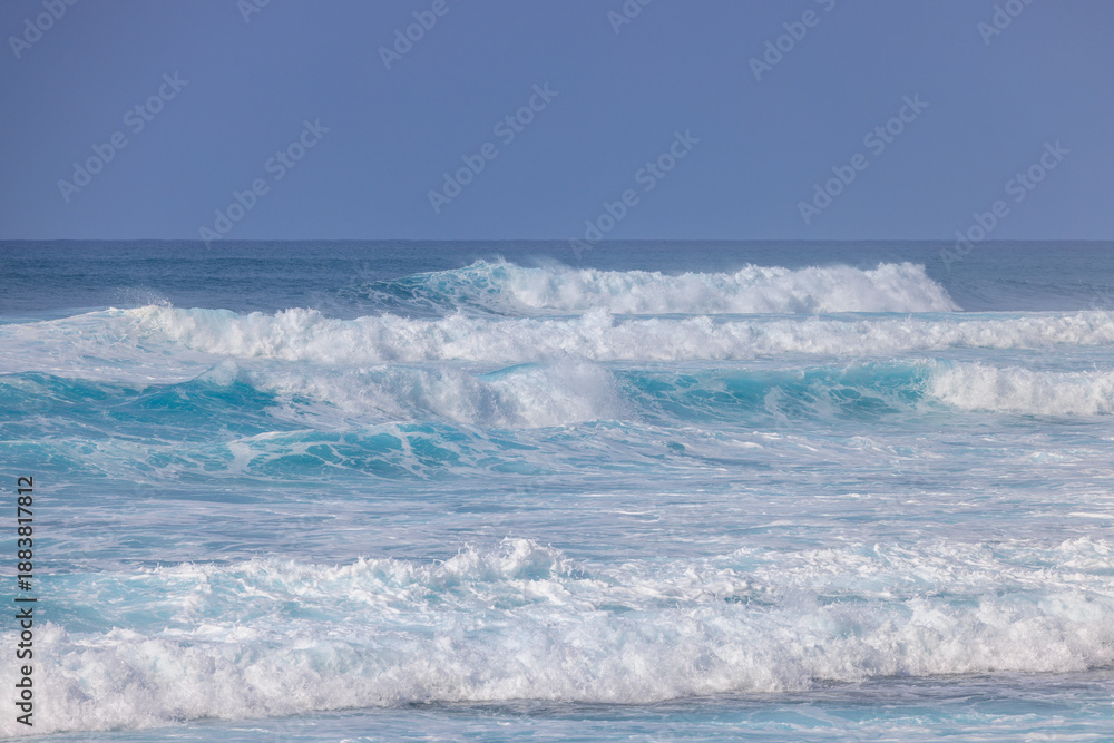 Fototapeta premium ハワイ・ノースショアに押し寄せる大きな波（サーフィン・海）