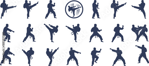 Karate Martial Arts Silhouette Set Showing Fighting Stances, Kicks and Punches, Traditional Combat Training, Self Defense and Sport Action Illustration Collection