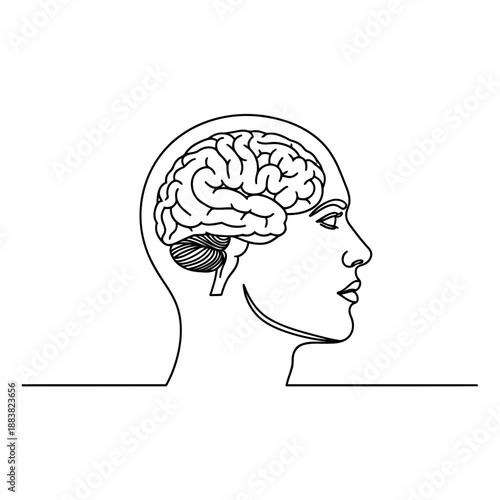 A line drawing of a human head with a brain visible