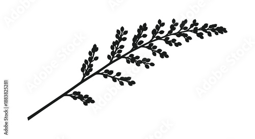 a detailed black silhouette depicting a slender branch with numerous small leaves against a stark white background