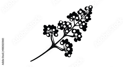 a detailed black and white illustration depicts a branch with many small berries showcasing a delicate silhouette