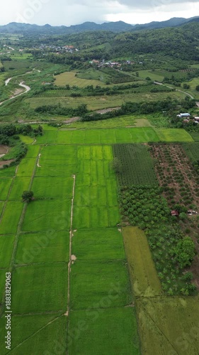Aerial rice field farmland valley mountain village river plantation landscape agriculture, green patchwork paddies, winding stream, rural road, forested hills, cloudy monsoon sky