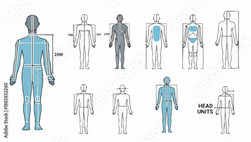 Human Body Measurement Diagrams and Anthropometric Data Illustrations.