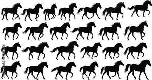 Running horse silhouette collection showing different poses and movements, illustrating speed, freedom, power and elegance of equine motion in minimalist black style