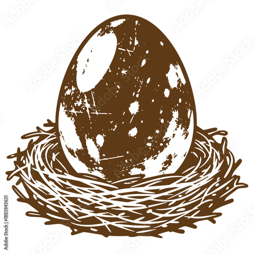 Drawing Vintage grunge  texture Brown egg in a nest on white background  single large egg with scratched texture sits securely in its cozy nest