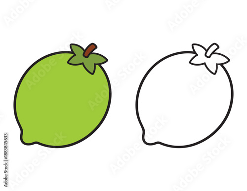 Lime Coloring Page for Kids. Simple cartoon fruit with Colored Example and Outline for toddlers and preschoolers 