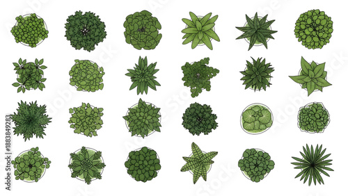 Trees and Plants Vector Set for Floor Plan and Architectural Design