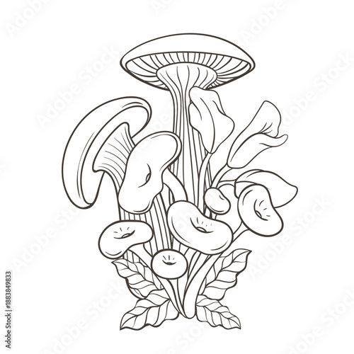 Coloring pages illustrating various types of mushrooms and foliage