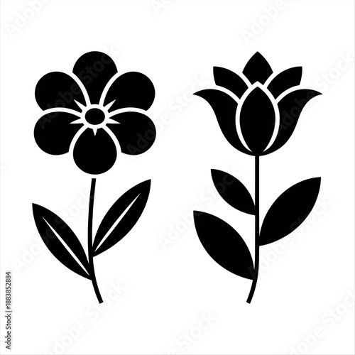 Two different flowers Vector