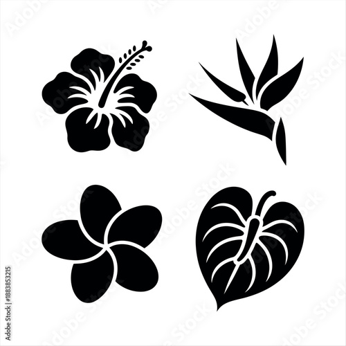 Tropical botanical silhouettes Vector
