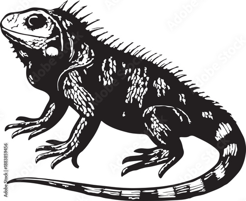 Lizard Iguana vintage engraving black and white vector illustration
