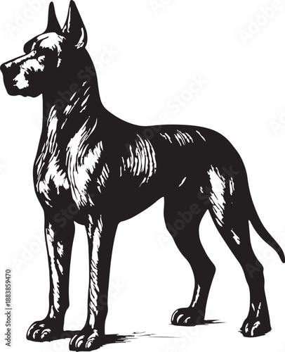 Great Dane Dog vintage engraving black and white vector illustration