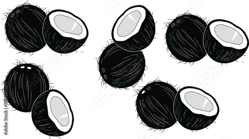 Coconut Half Collection Vector Illustration with Whole and Cut Tropical Fruits Isolated on White Background