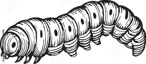 Caterpillar vintage engraving black and white vector illustration