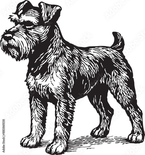 Dog vintage engraving black and white vector illustration