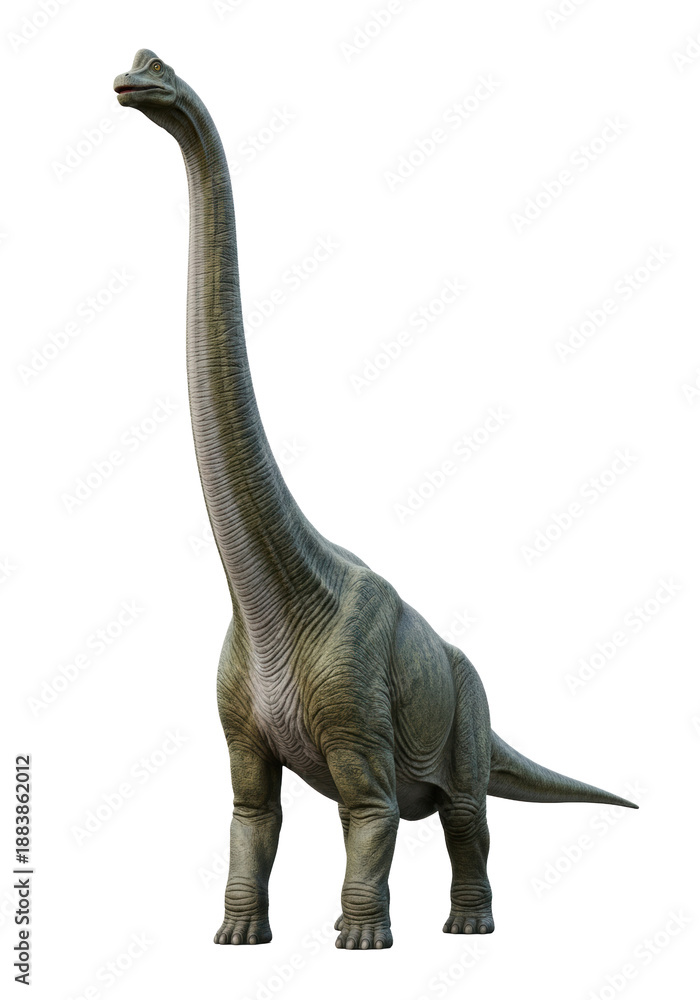 Obraz premium Majestic Brachiosaurus, ultra-realistic with earthy green-grey leathery skin and scales, standing on transparent studio background, concept for scientific accuracy and education