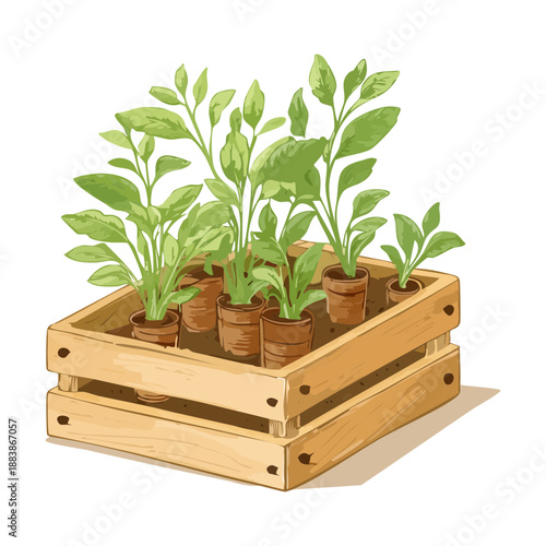 Raised wooden garden bed with green seedlings and plants for organic vegetable farming and home garden design art