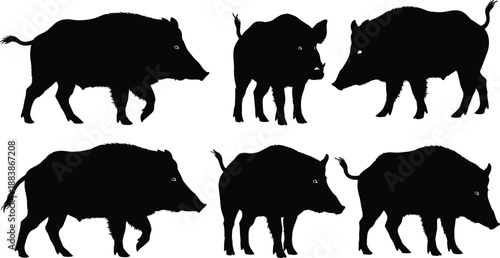 Wild boar silhouette set, black animal shapes, hunting icon, forest wildlife, cad drawing flat vector illustration, isolated design